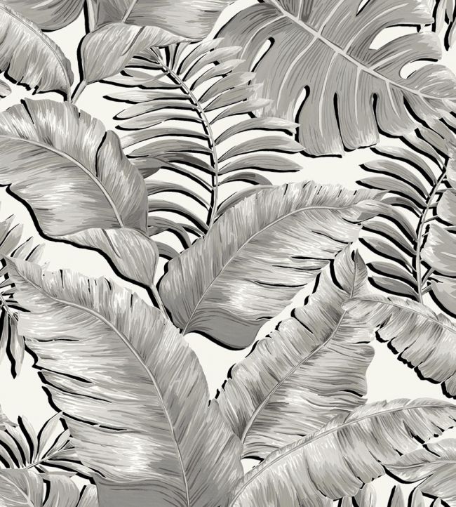 Banana Leaves Standard Wallpaper - Black & White - Brand McKenzie - BMTD001/06A - Premier Wallcovering