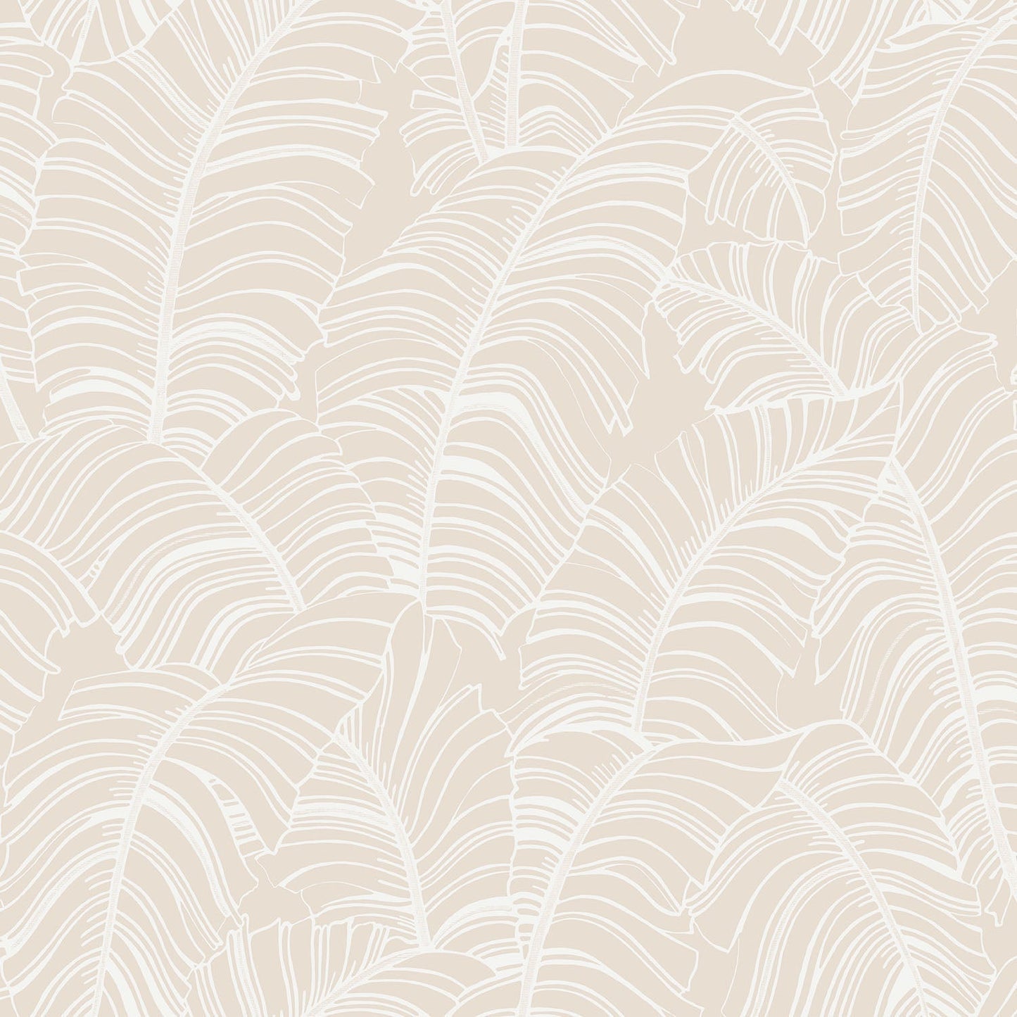 Bazaar Palm Leaves Wallpaper - Beige / White - Galerie - G78300 - Premier Wallcovering