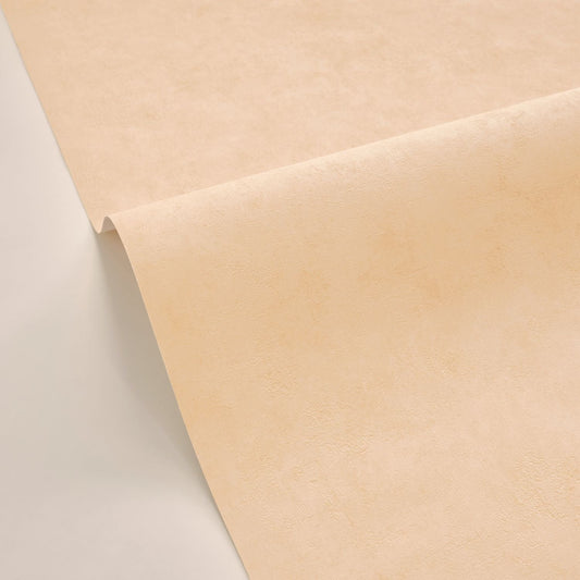 Beton Uni Wallpaper - Beige - Caselio - 101482446 - Premier Wallcovering