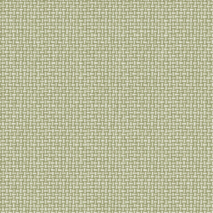 Biderbost Weave Wallpaper - Green - Holden Décor - 91601 - Premier Wallcovering