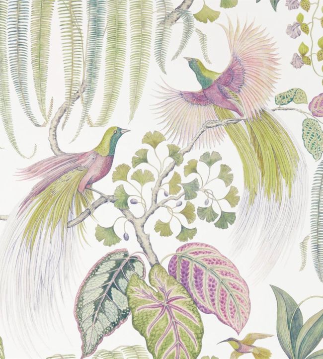 Bird Of Paradise Wallpaper - Orchid - DGLW216654 - Sanderson - Premier Wallcovering
