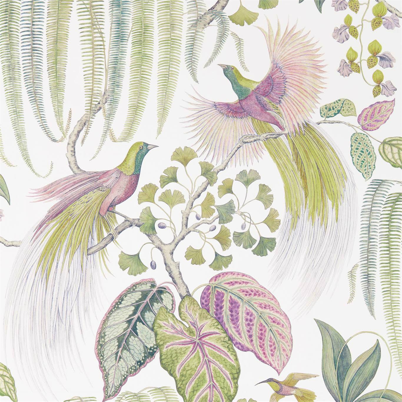 Bird Of Paradise Wallpaper - Orchid - Sanderson - DGLW216654 - Premier Wallcovering
