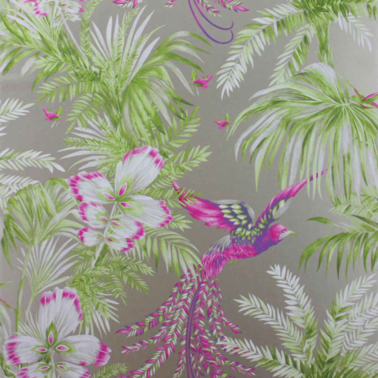 Bird Of Paradise Wallpaper - Kiwi/Violet - Matthew Williamson - W6655-03 - Premier Wallcovering