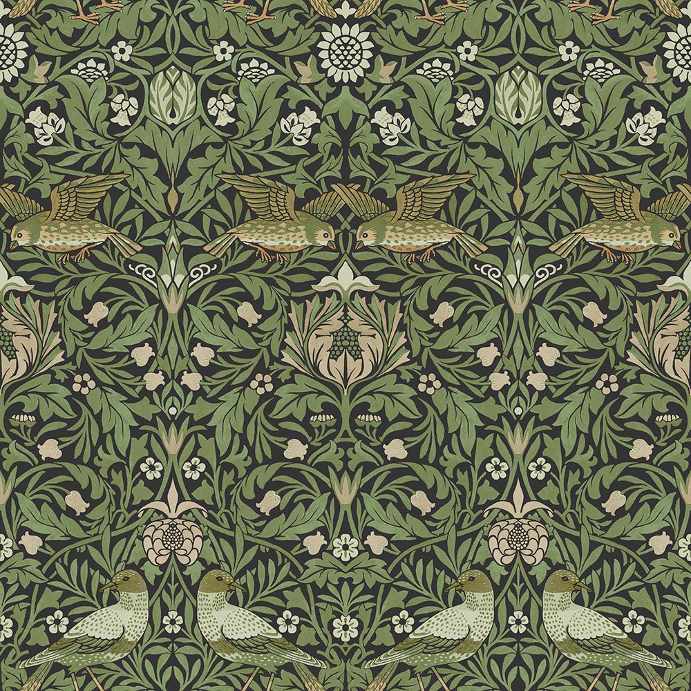 Bird Wallpaper - Black / Green - Midbec - 82063 - Premier Wallcovering