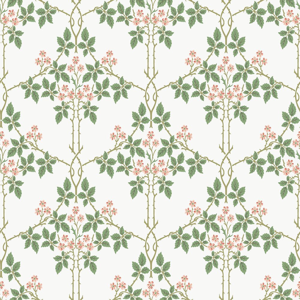 Blackberry Wallpaper - White / Red - Midbec - 82054 - Premier Wallcovering