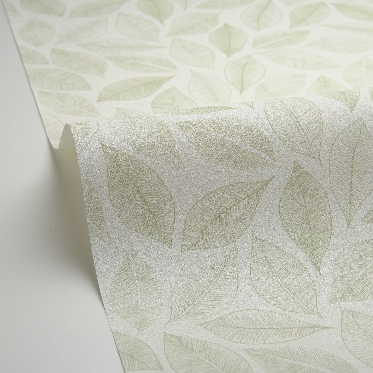 Bliss Wallpaper - Blanc Vert Mousse - Caselio - 105380755 - Premier Wallcovering