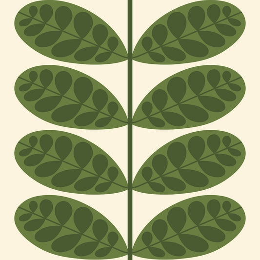 Botanica Wallpaper - Fern - Orla Kiely - 23AHBTCWLPDS-3140 - Premier Wallcovering