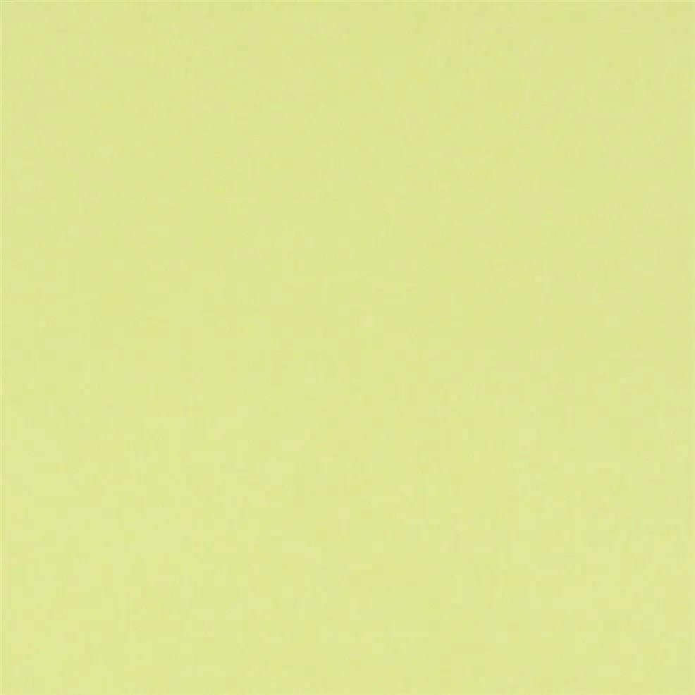 Brera Wallpaper - Primrose - P591/16 - Designers Guild - Premier Wallcovering