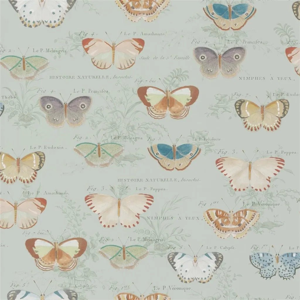 Butterfly Studies Wallpaper - Eau De Nil - John Derian - PJD6017/03 - Premier Wallcovering