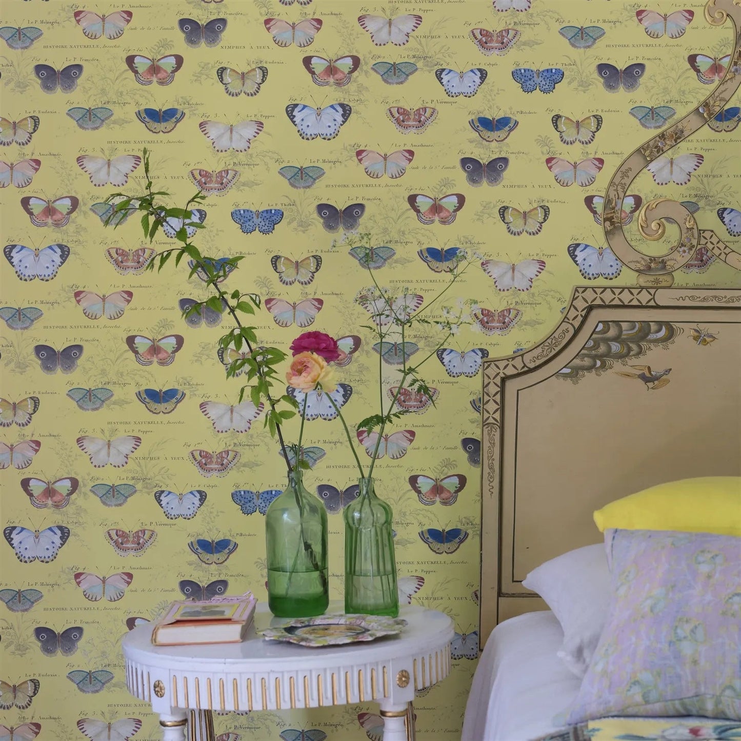 Butterfly Studies Wallpaper - Mimosa - John Derian - PJD6017/04 - Premier Wallcovering