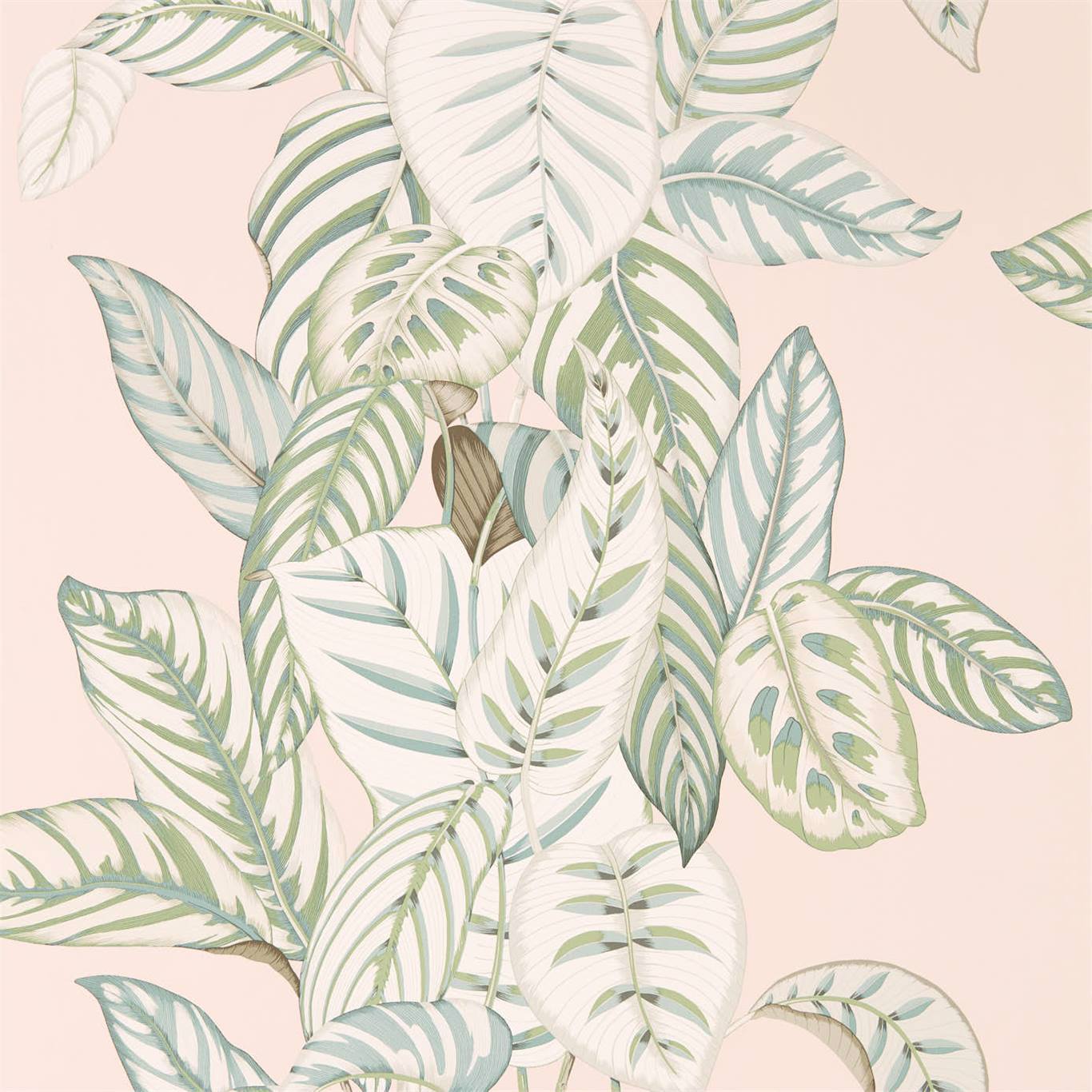 Calathea Wallpaper - Orchid/Eucalyptus - Sanderson - DGLW216632 - Premier Wallcovering