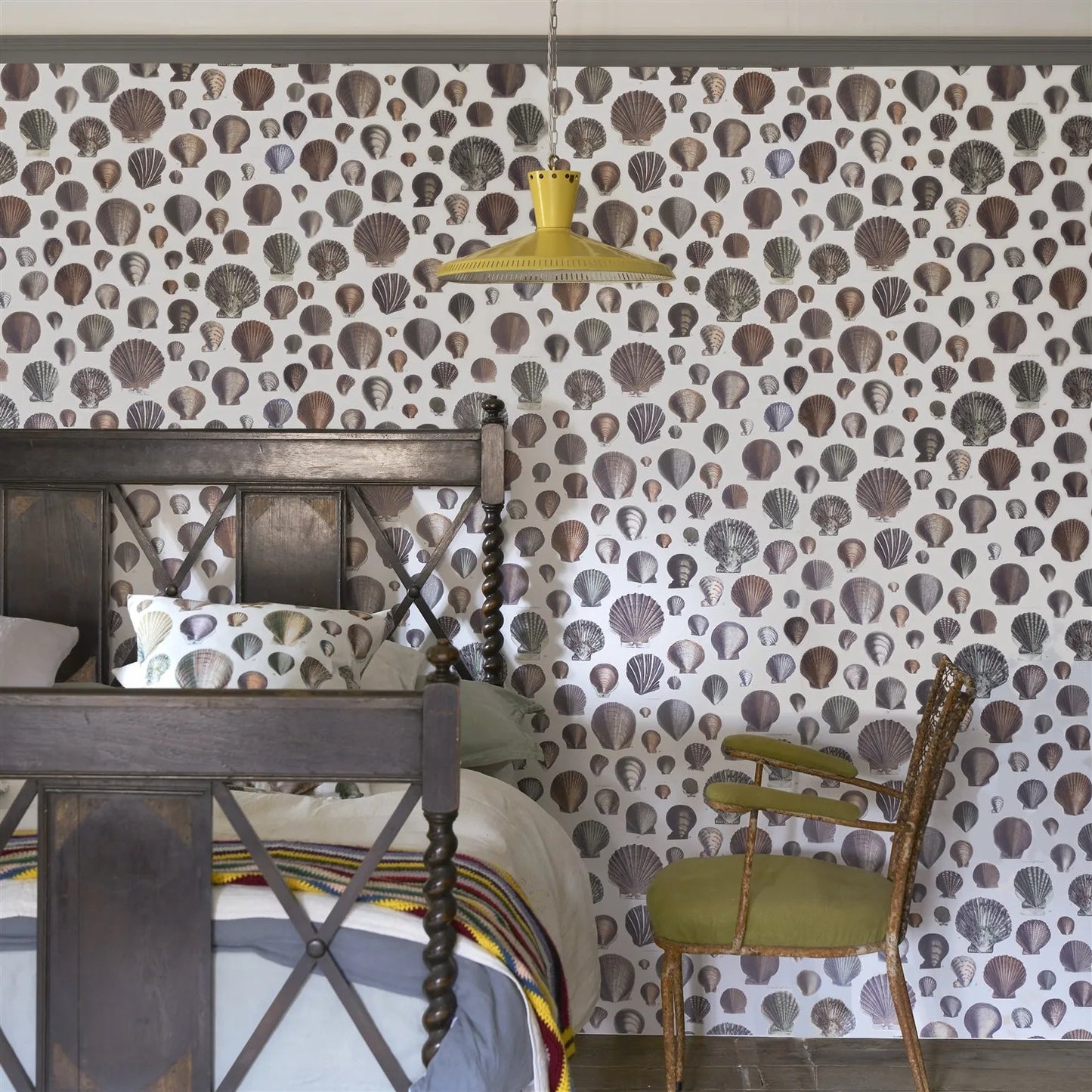 Captain Thomas Browns Shells Wallpaper - Oyster - John Derian - PJD6000/02 - Premier Wallcovering