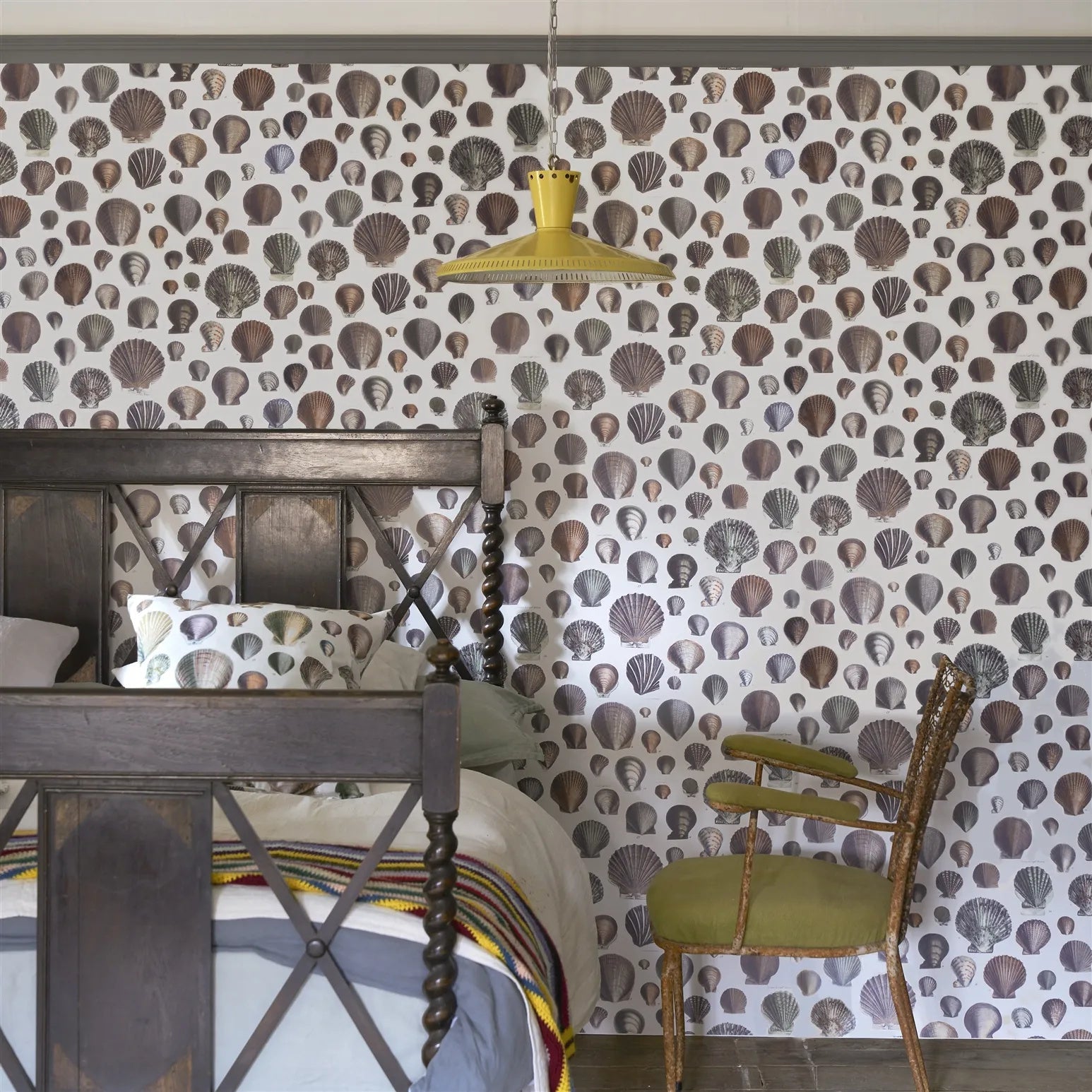 Captain Thomas Browns Shells Wallpaper - Oyster - John Derian - PJD6000/02 - Premier Wallcovering
