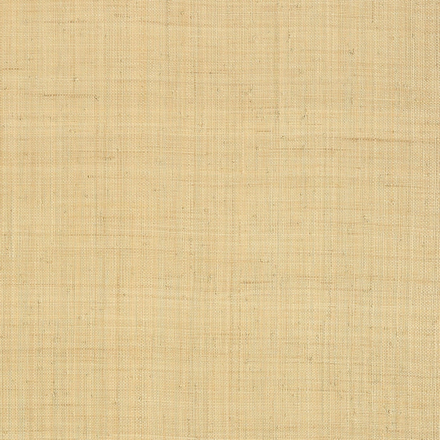 Carolina Raffia Wallpaper - Natural - Thibaut - T13040 - Premier Wallcovering