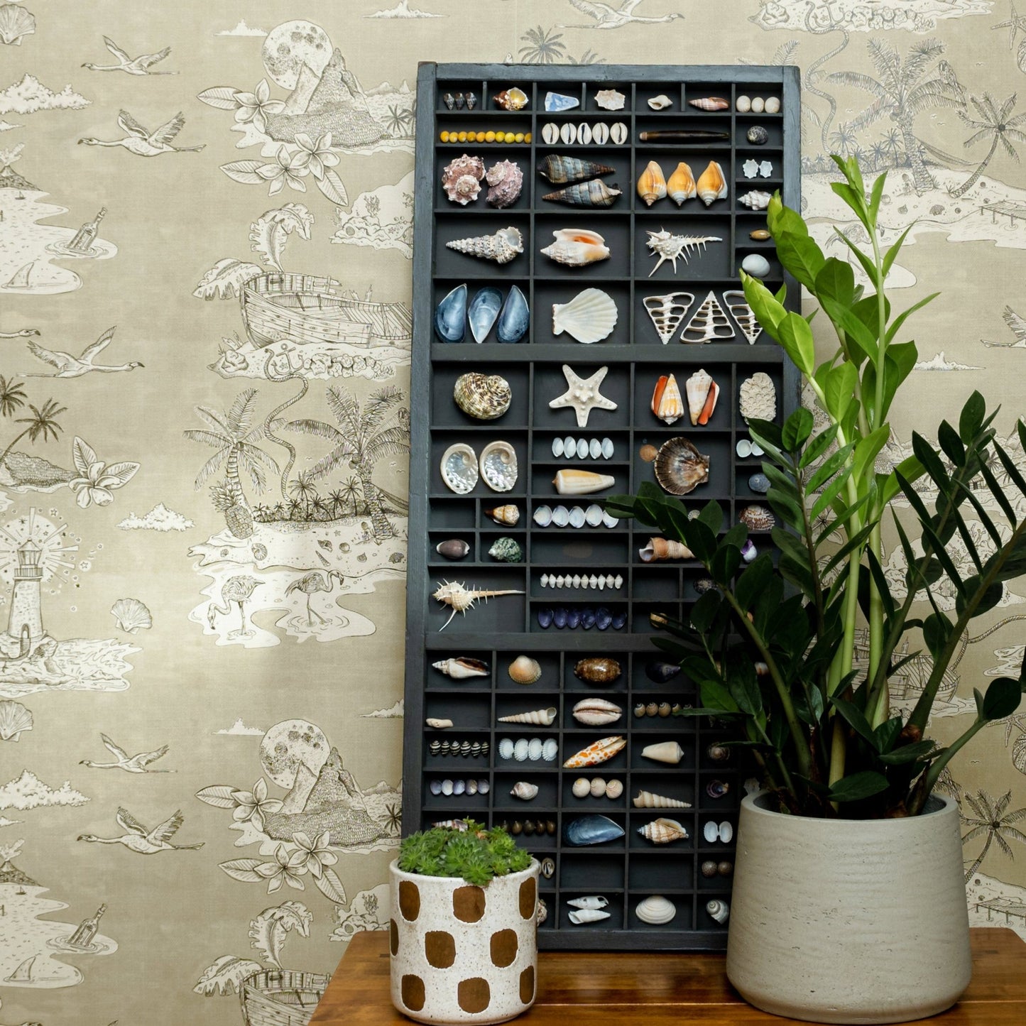 Castaway Wallpaper - Greige - Wear The Walls - CAGB894152 - Premier Wallcovering