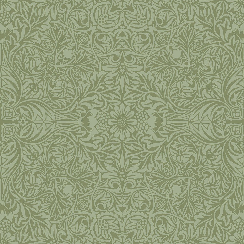 Ceiling Wallpaper - Green / White - Midbec - 82071 - Premier Wallcovering