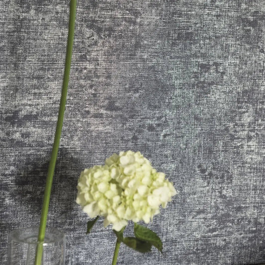 Cerato Wallpaper - Silver - P604/07 - Designers Guild - Premier Wallcovering