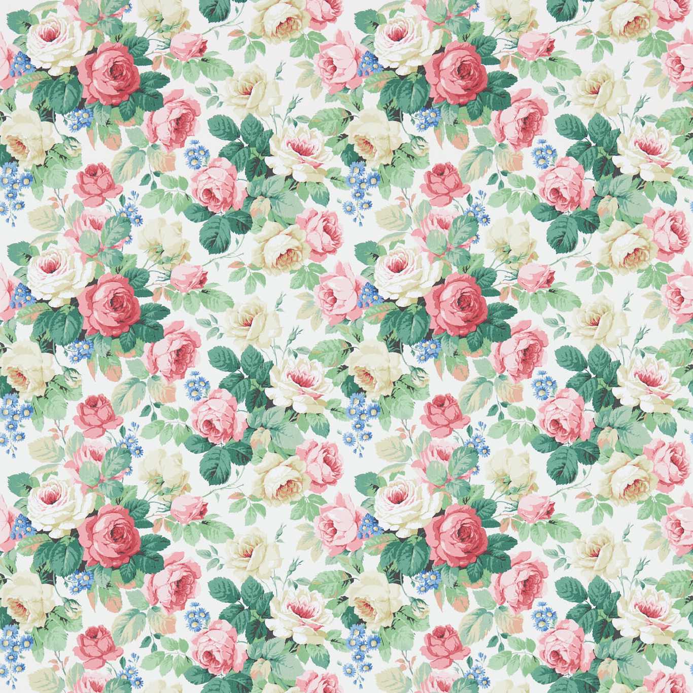 Chelsea Wallpaper - White/Pink - DVIN214606 - Sanderson - Premier Wallcovering