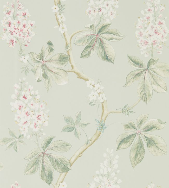 Chestnut Tree Wallpaper - Seaspray/Peony - DWOW215710 - Sanderson - Premier Wallcovering