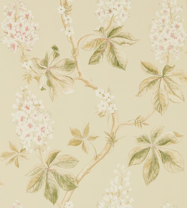 Chestnut Tree Wallpaper - Coral/Bayleaf - DWOW215709 - Sanderson - Premier Wallcovering
