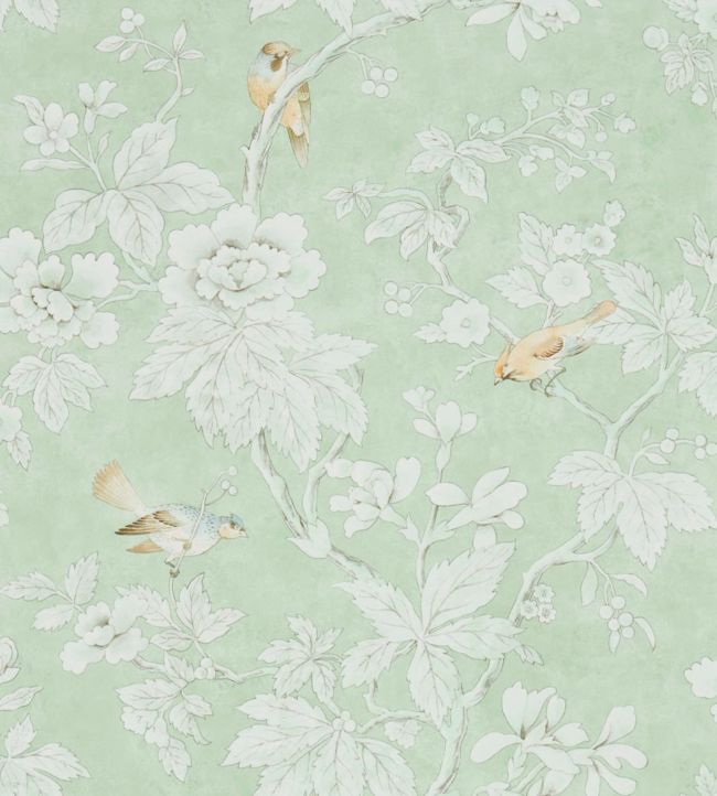 Chiswick Grove Wallpaper - Sage - DDAM216387 - Sanderson - Premier Wallcovering