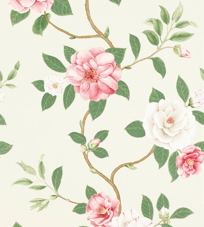 Christabel Wallpaper - Coral/Ivory - DVOY213374 - Sanderson - Premier Wallcovering