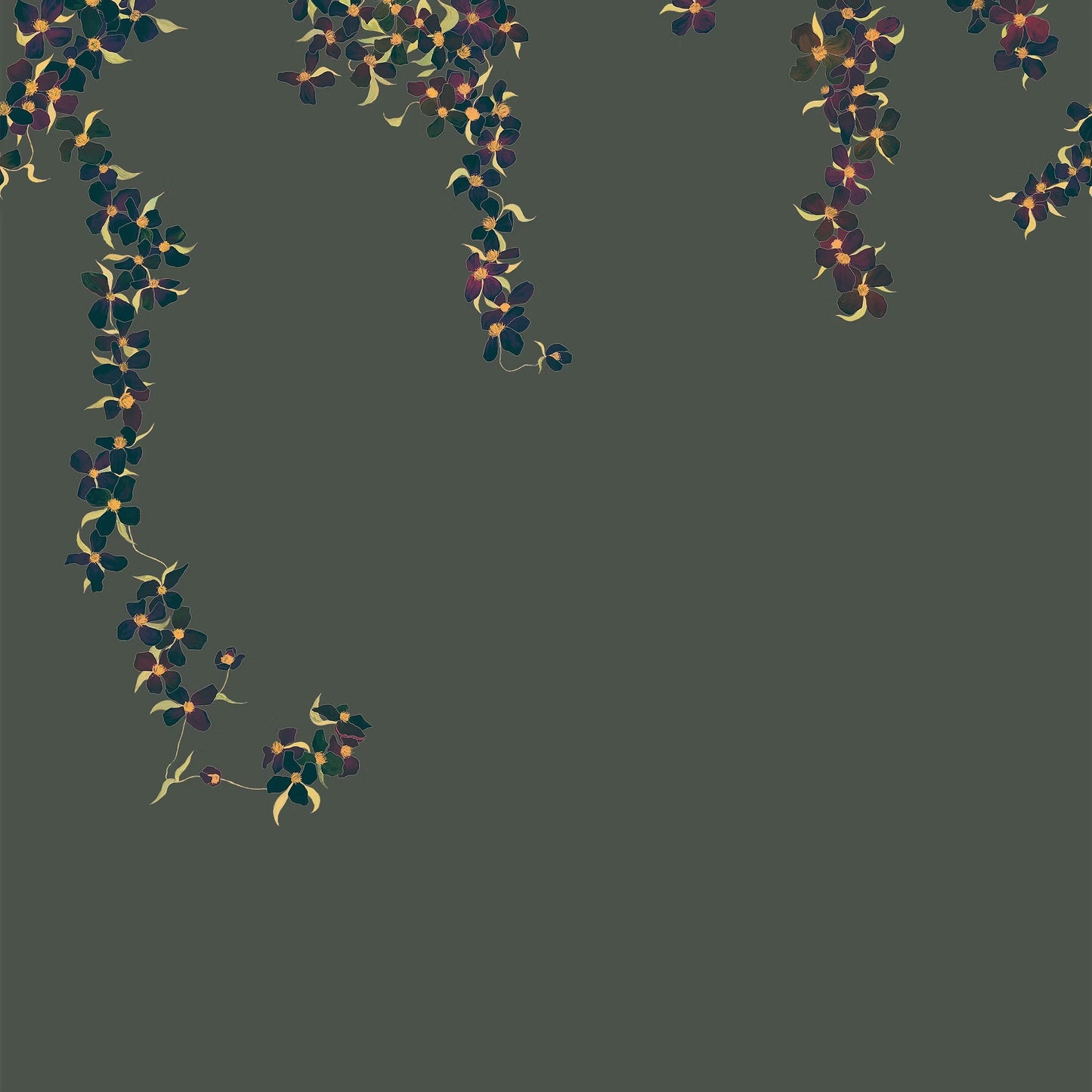 Clematis Wallpaper Mural - Indian summer - Fraiche - WP16002 - Premier Wallcovering