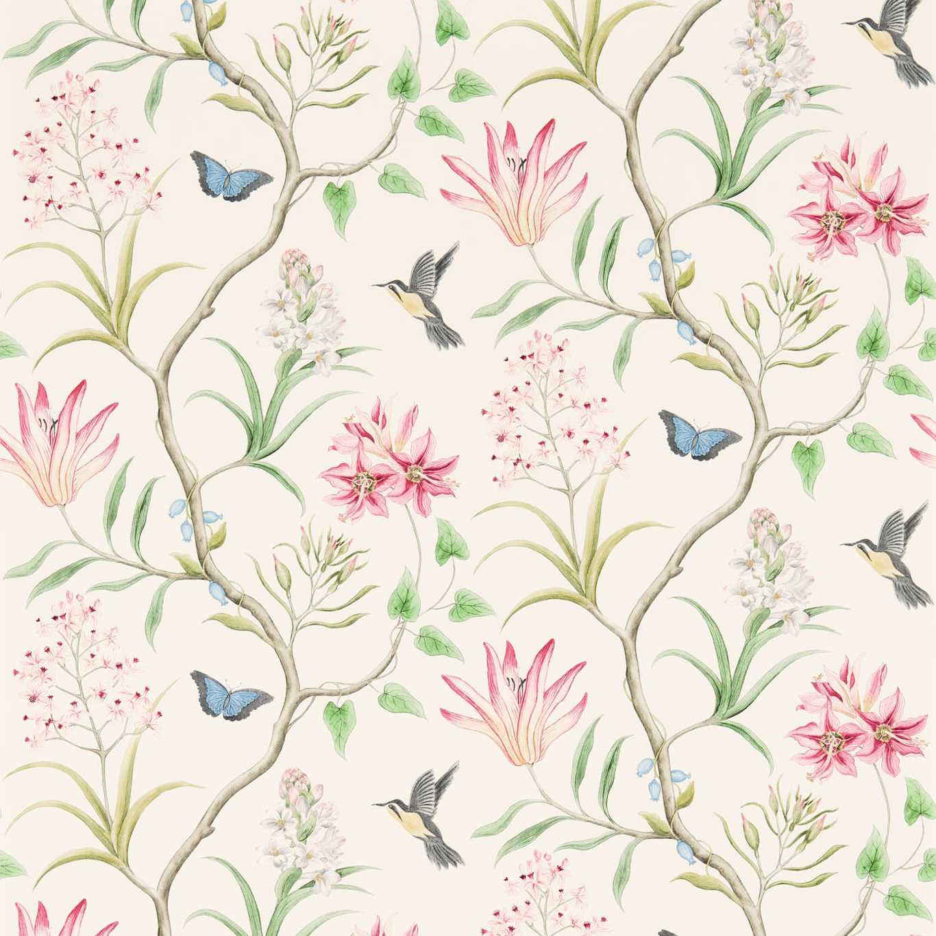 Clementine Wallpaper - Chintz - DVOY213388 - Sanderson - Premier Wallcovering