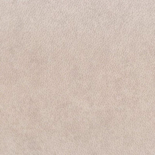 Constellation Wallpaper - Beige - Casadeco - 29581218 - Premier Wallcovering