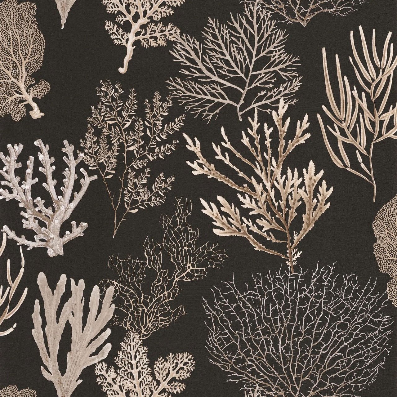 Corail Seaside Wallpaper - Noir Fusain - Casadeco - 83979808 - Premier Wallcovering