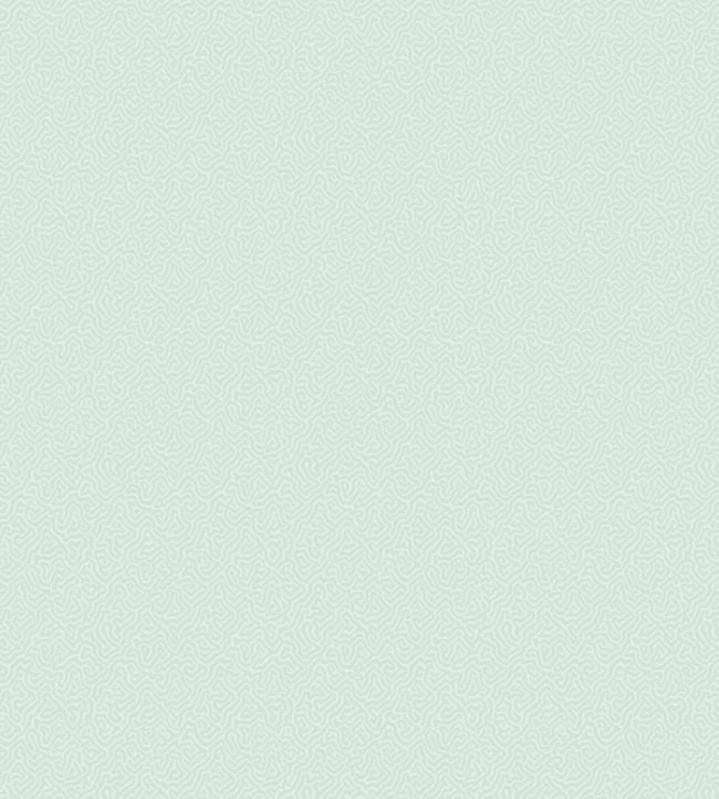 Coral Wallpaper - Duck Egg - 106/5065 - Cole & Son - Premier Wallcovering