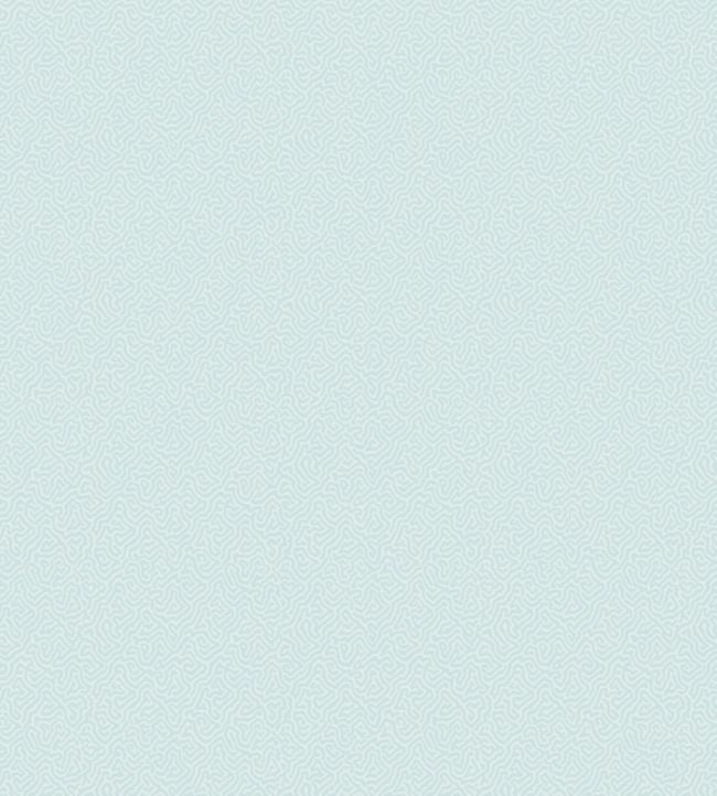 Coral Wallpaper - Seafoam - 106/5064 - Cole & Son - Premier Wallcovering