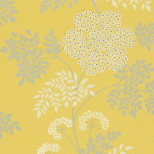 Cowparsley Wallpaper - Chinese Yellow - DOPWCO105 - Sanderson - Premier Wallcovering