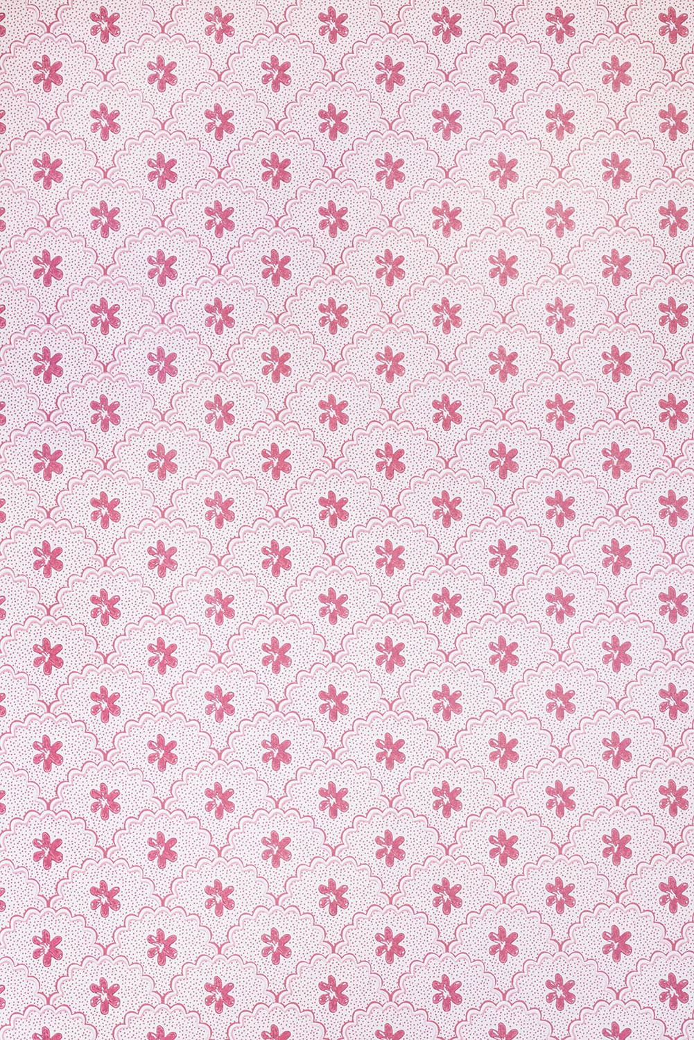 Daisy Scallops Wallpaper - Red / Pink - BG3000202 - Barneby Gates - Premier Wallcovering