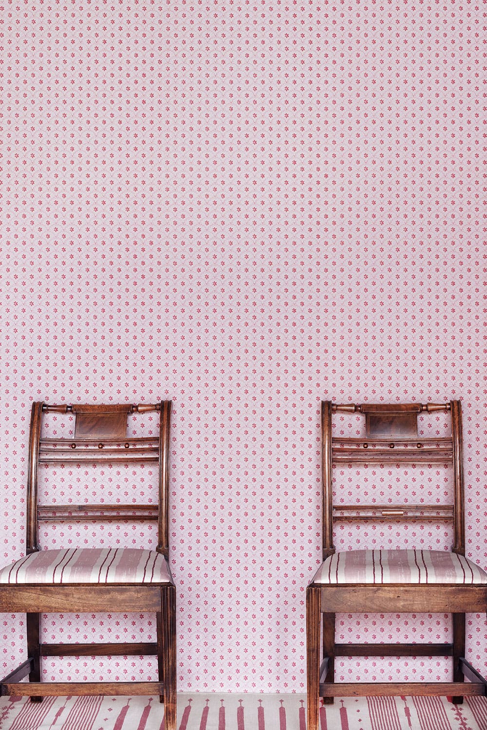 Daisy Scallops Wallpaper - Red / Pink - BG3000202 - Barneby Gates - Premier Wallcovering