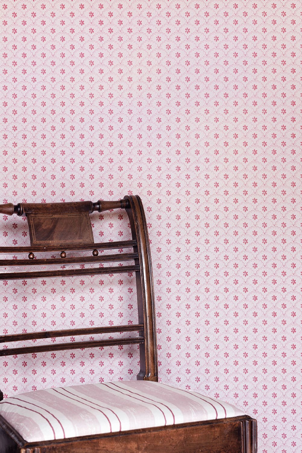 Daisy Scallops Wallpaper - Red / Pink - BG3000202 - Barneby Gates - Premier Wallcovering