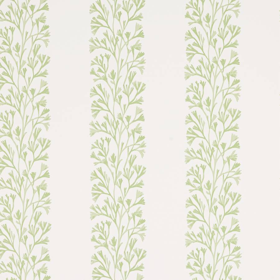 Dita Wallpaper - Green - J196W - 03 - Jane Churchill - Premier Wallcovering