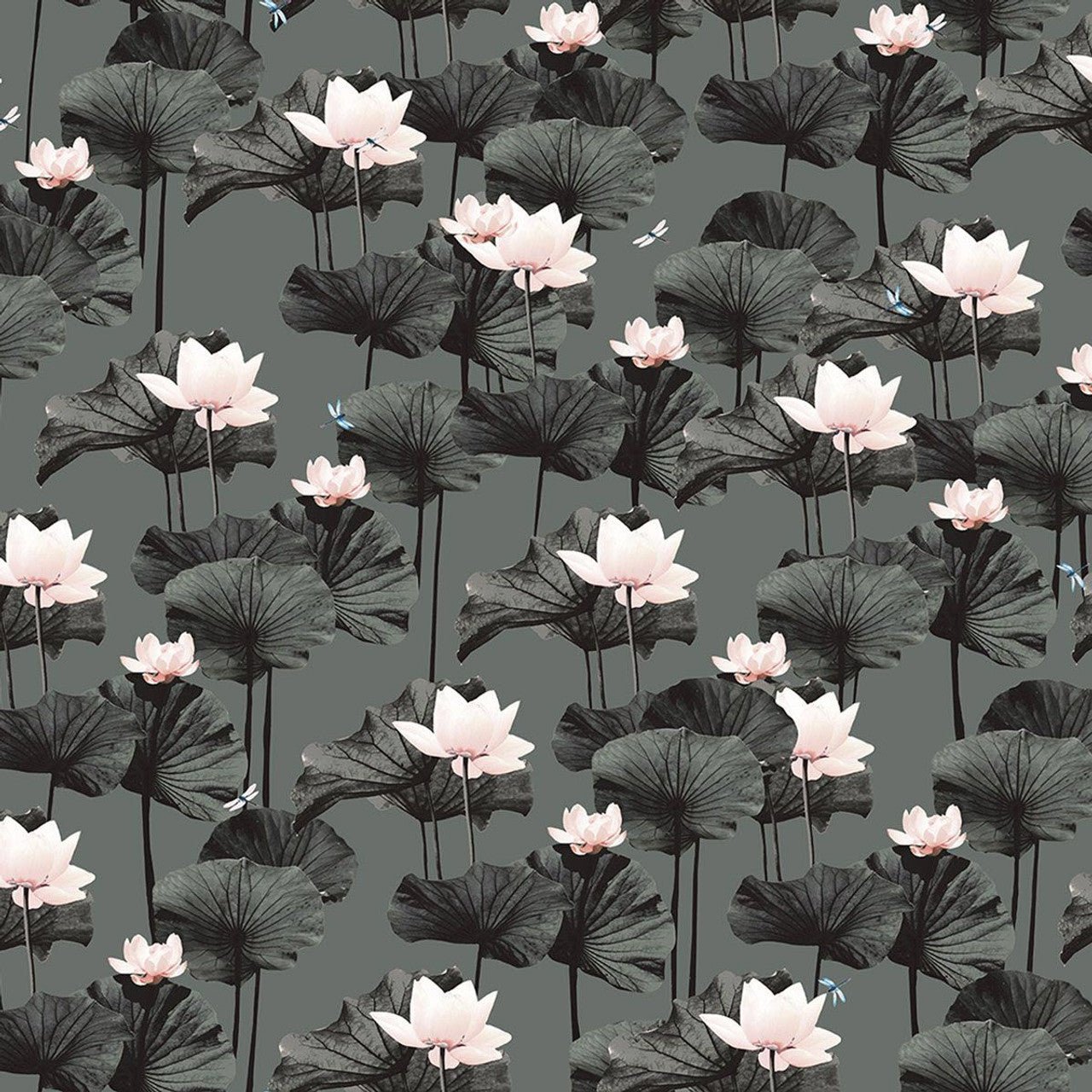 Drago Fantasia Wallpaper - Green/Grey/Pink - Ted Baker - 12671 - Premier Wallcovering