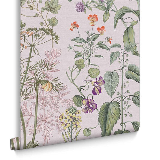 Edulis Wallpaper - Blush - Graham & Brown - 118015 - Premier Wallcovering