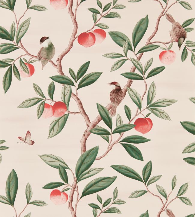 Ella Wallpaper - Powder/ Sage / Peach - HDHW112907 - Harlequin - Premier Wallcovering