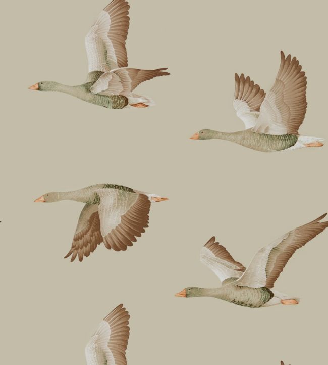 Elysian Geese Wallpaper - Briarwood - DYSI216609 - Sanderson - Premier Wallcovering