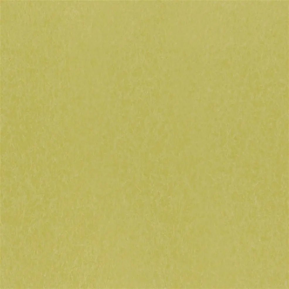 Ernani Wallpaper - Alchemilla - P502/69 - Designers Guild - Premier Wallcovering