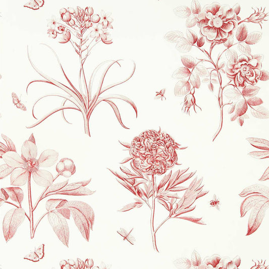 Etchings & Roses Wallpaper - Amanpuri Red - DOSW217054 - Sanderson - Premier Wallcovering