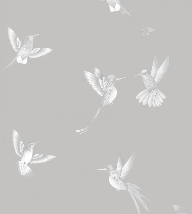 Exotic Birds Wallpaper - Concrete Grey - Brand McKenzie - BMTD001/08B - Premier Wallcovering