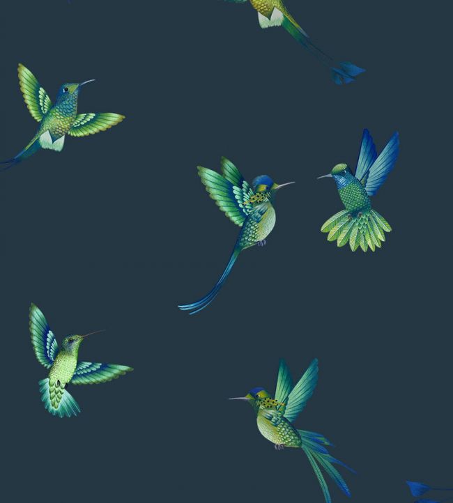Exotic Birds Wallpaper - Midnight Blue - Brand McKenzie - BMTD001/08C - Premier Wallcovering