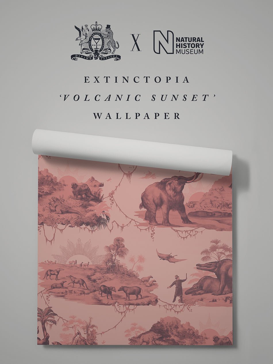 Extinctopia Wallpaper - Volcanic Sunset - Divine Savages - DVS142-EXT-VSUN-WR - Premier Wallcovering