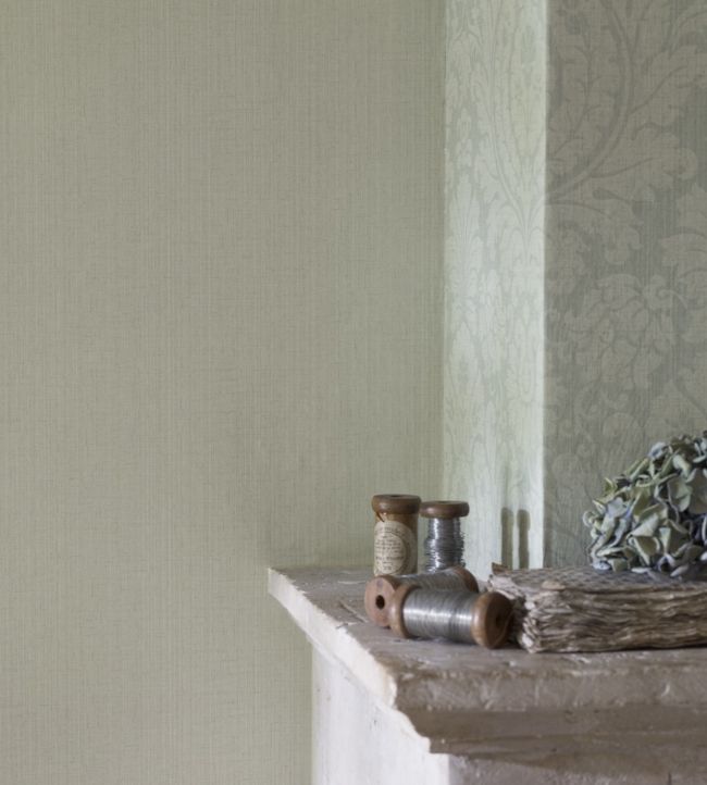 Fabienne Wallpaper - Natural - DFAB214070 - Sanderson - Premier Wallcovering