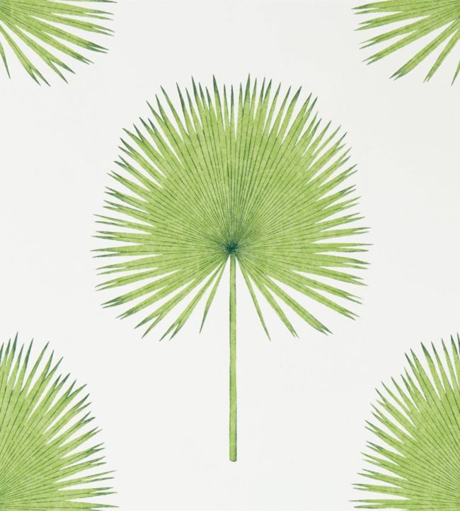 Fan Palm Wallpaper - Botanical Green - DGLW216636 - Sanderson - Premier Wallcovering