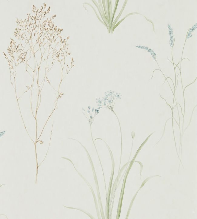 Farne Grasses Wallpaper - Cream/Sage - DEBB216486 - Sanderson - Premier Wallcovering