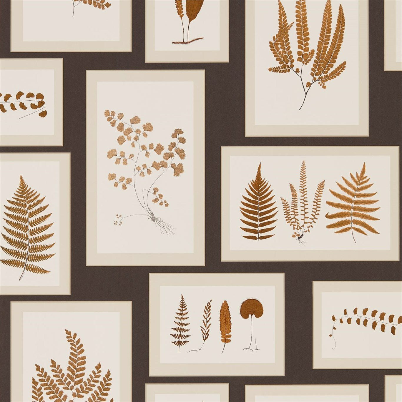 Fern Gallery Wallpaper - Charcoal/Spice - Sanderson - DWOW215713 - Premier Wallcovering